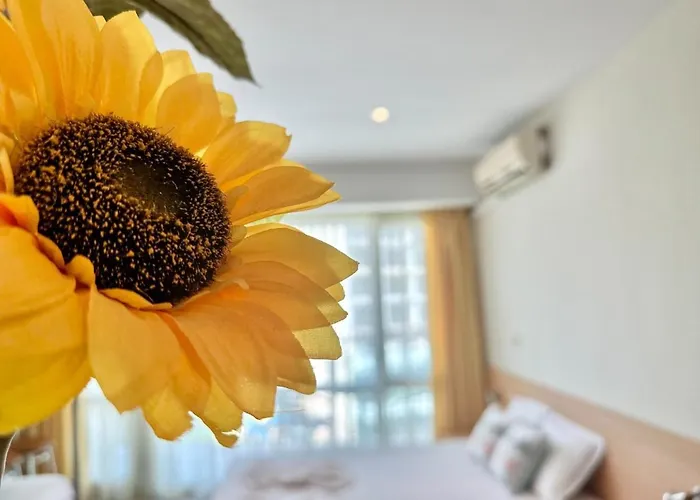 Menada Miramar Palace شقة *