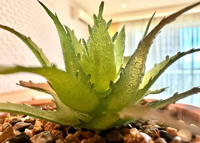 شقة Menada Miramar Palace ساني بيتش