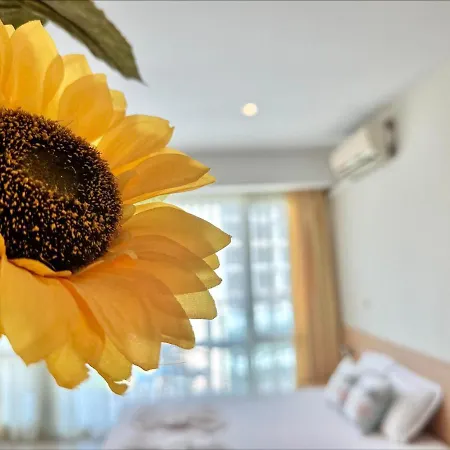 Menada Miramar Palace アパート *